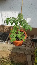 20190609_173434.webp