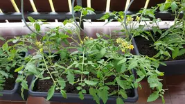 20190609_173947.webp