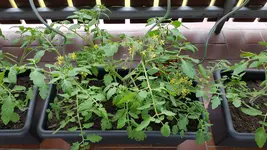 20190609_173953.webp