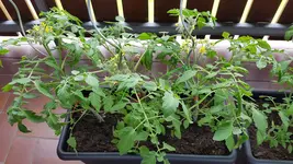 20190609_173958.webp