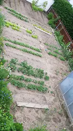20190609_184909.webp