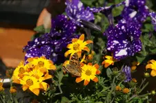 DSC07801.webp