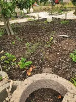 IMG_20190609_201746.webp