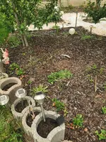 IMG_20190609_201802.webp