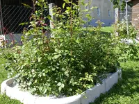 08_06_2019 (35).webp