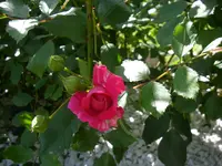 08_06_2019 (65).webp