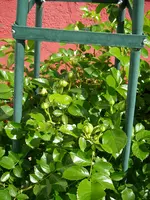 08_06_2019 (12).webp
