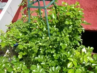 08_06_2019 (82).webp