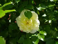 08_06_2019 (13).webp