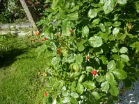 08_06_2019 (57).webp