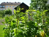 08_06_2019 (51).webp