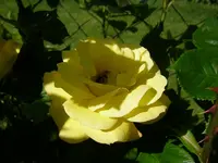 08_06_2019 (52).webp