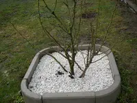 16_03_2019 (5).webp