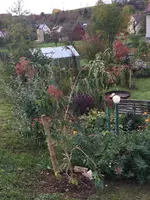 2017-10-07 Sieben Söhne2.webp