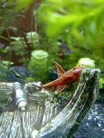 20190609_221002.webp