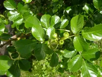 08_06_2019 (81).webp