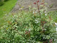 01_06_2019 (38).webp