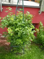 30_05_2019 (10).webp