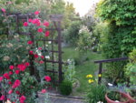 IMG_6695.JPG