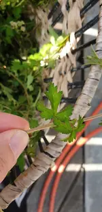 20190610_083714.webp