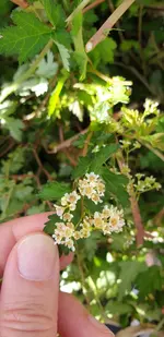 20190610_083722.webp