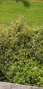 20190610_083727.webp