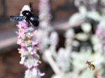 image005.jpg