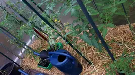 20190610_101717.webp