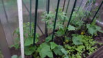 20190610_101723.jpg