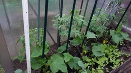 20190610_101723.webp