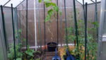 20190610_101736.jpg