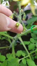 20190610_113412.webp