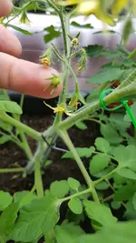 20190610_113358.webp