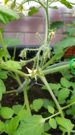 20190610_113348.webp
