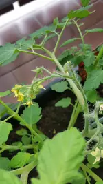 20190610_113340.webp