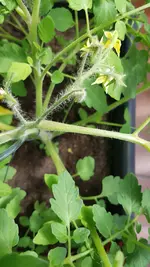 20190610_113533.webp