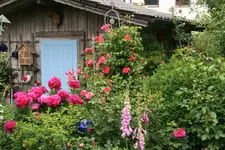 Juni  2219.webp