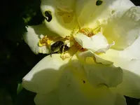 10_06_2019 (14).webp