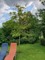 20190608_163813.webp
