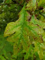 20190610_184440.webp
