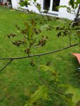 20190608_163728.jpg