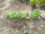 IMG_20190610_162241.jpg