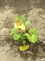 IMG_20190610_163124.webp