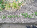 IMG_20190610_163356.jpg