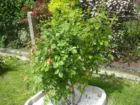 10_06_2019 (58).webp
