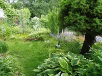 P1020540.webp