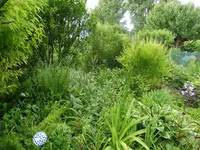 P1020541.webp