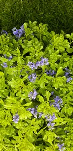 20190606_155755.webp
