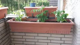 20190611_102338.webp