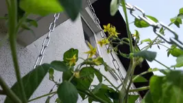 20190611_102418.webp